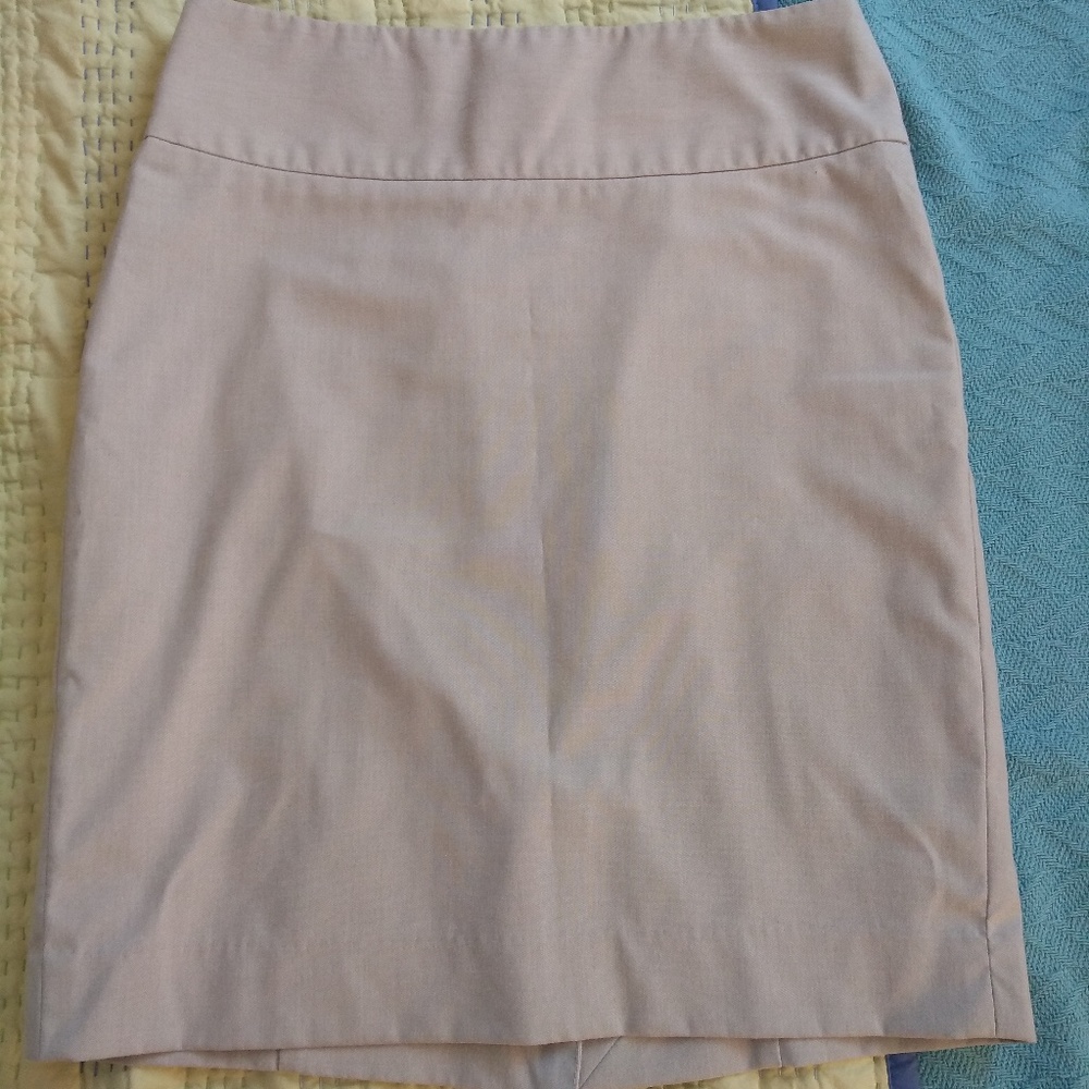 The Limited Pencil Skirt, Sz. 6